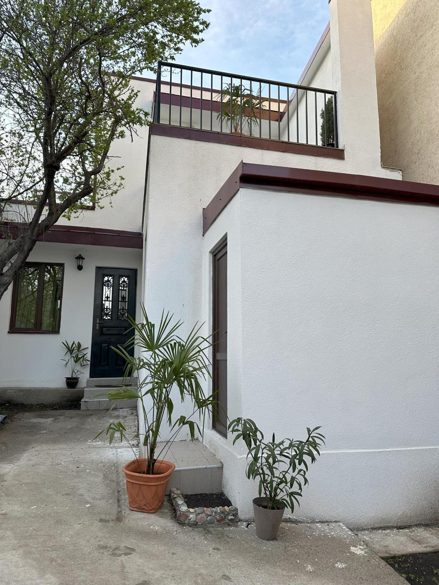Three Palms Guest House Тбілісі Екстер'єр фото