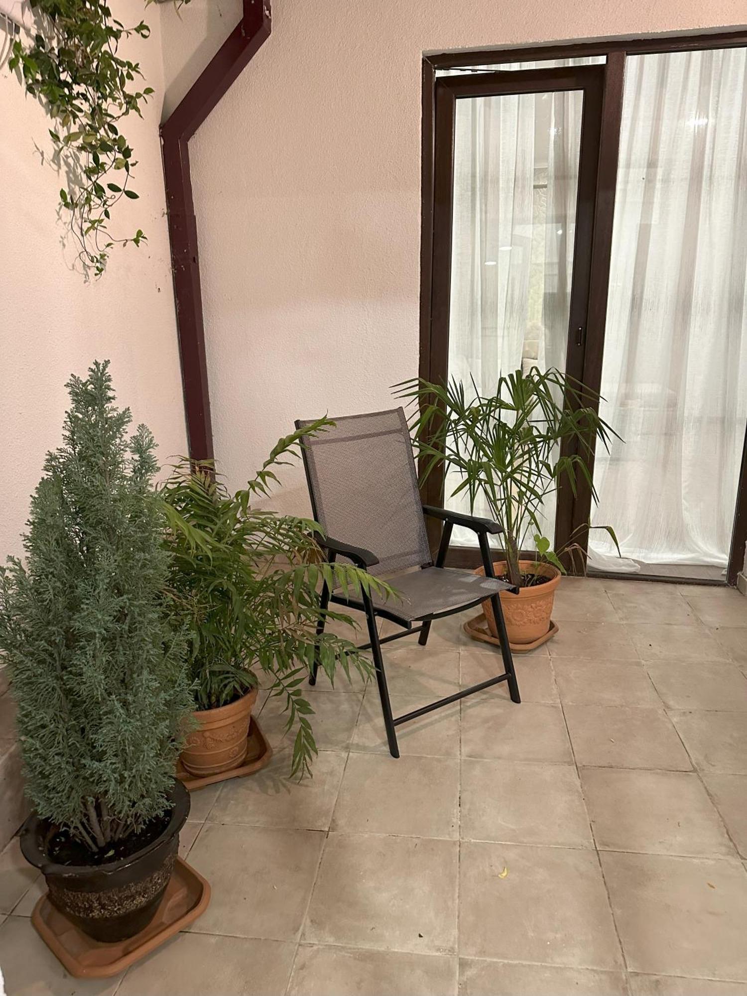 Three Palms Guest House Тбілісі Екстер'єр фото